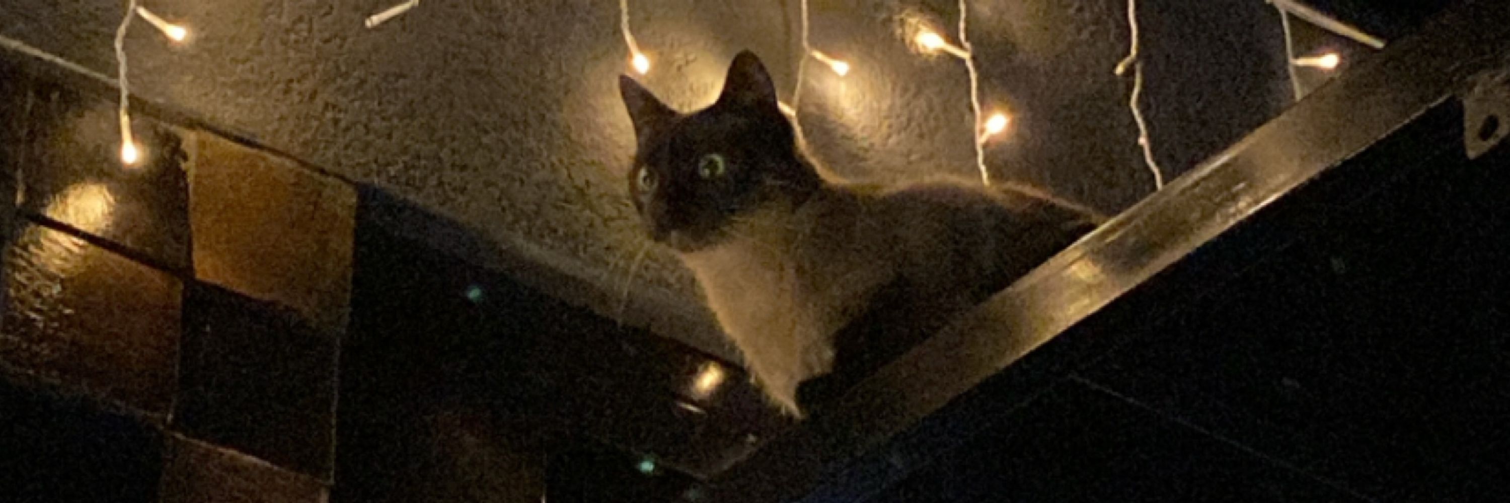 Lele.