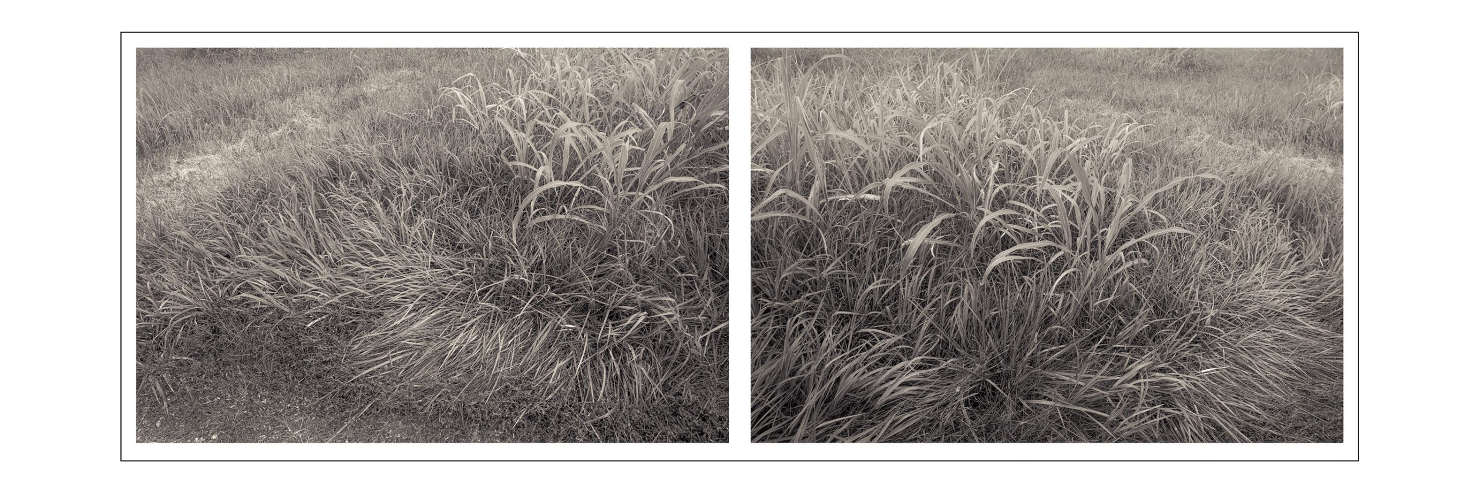 Mark Muse Photographs