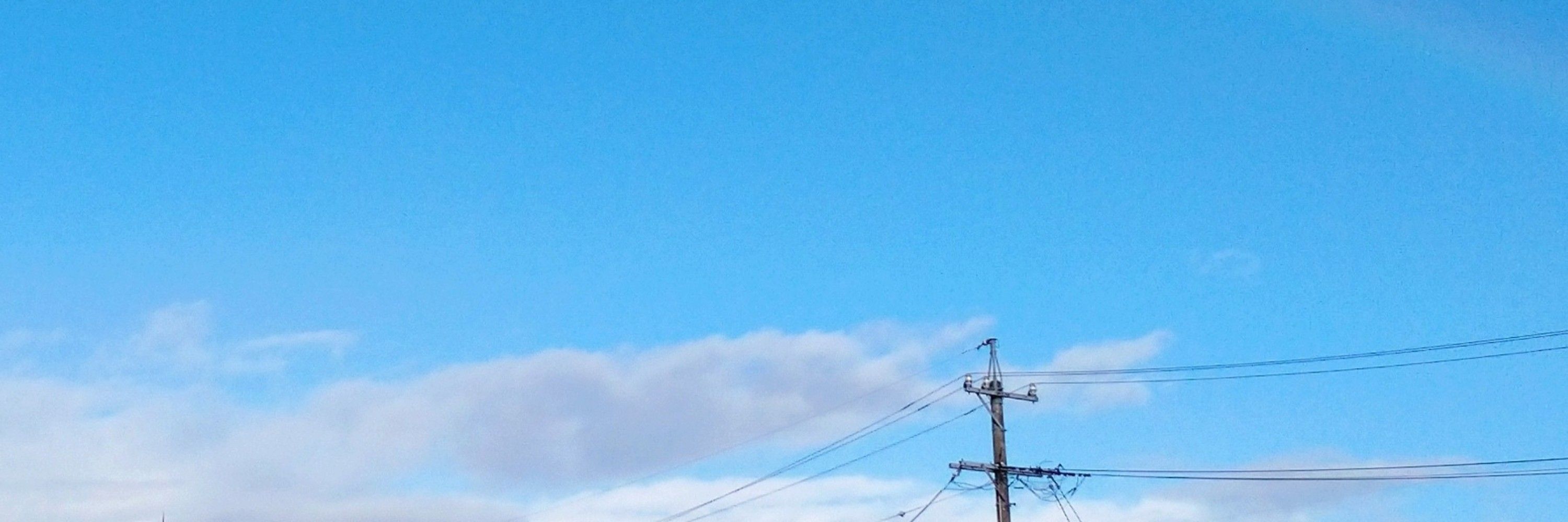 かしわ