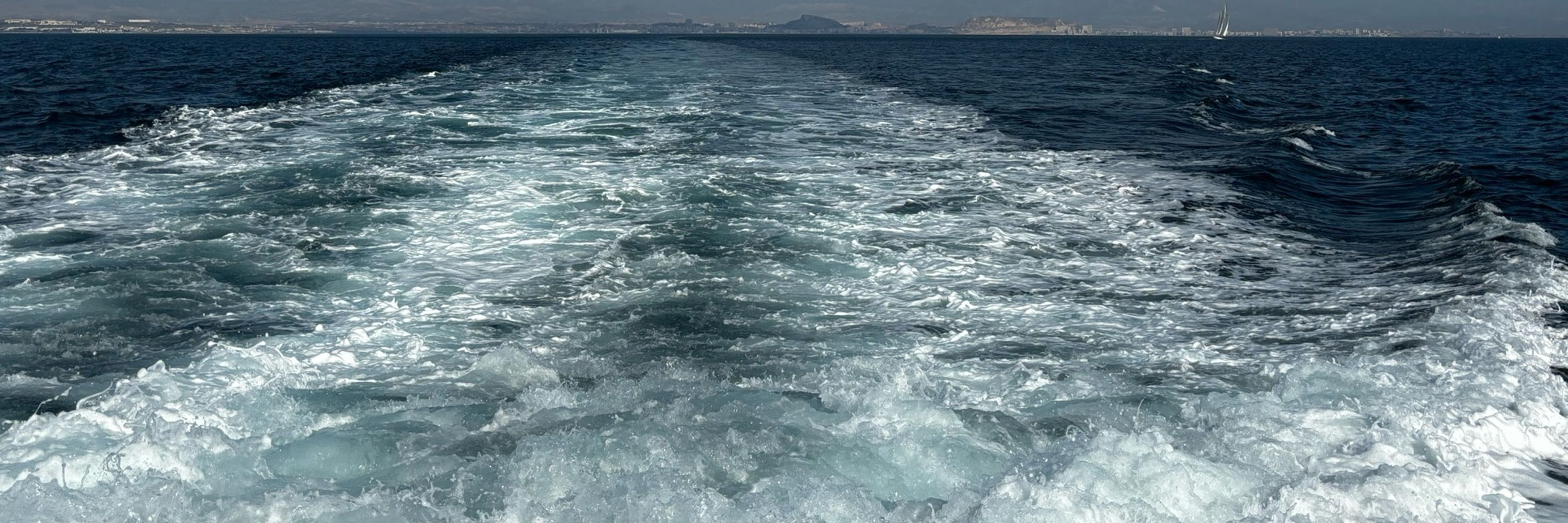 MasoumeRaeissi