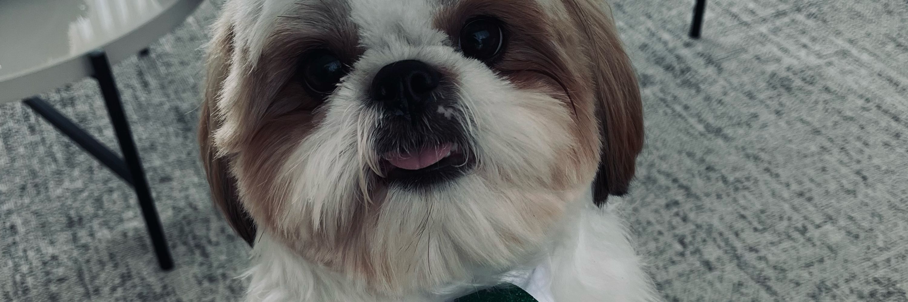tete a mais diva