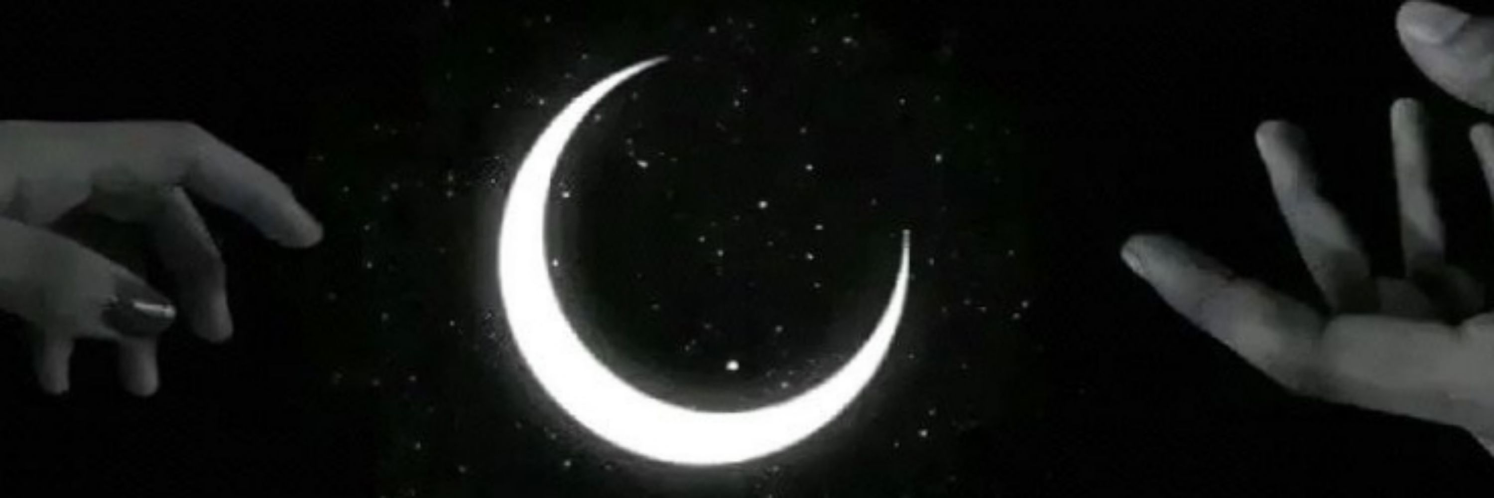 𝕷𝖎𝖟 🖤
