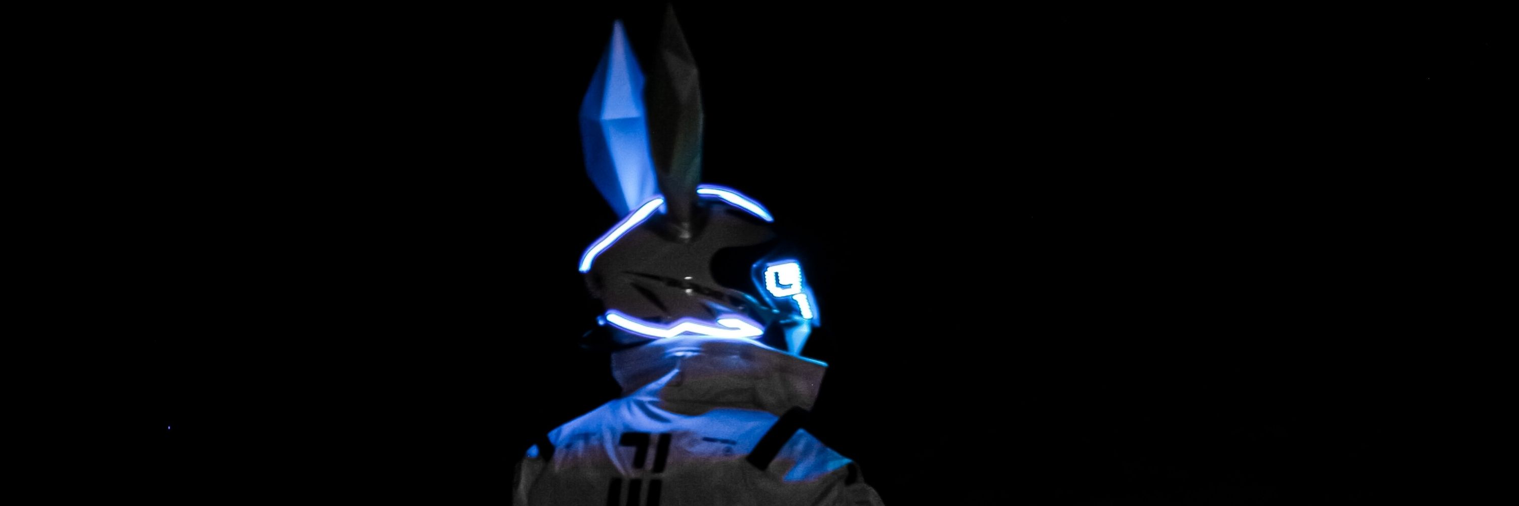 ProtoBunz