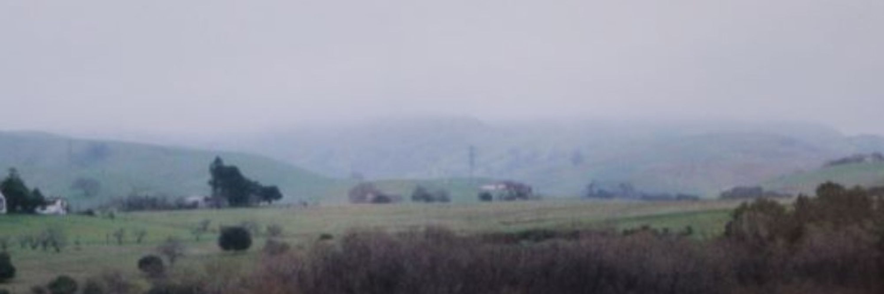 ria