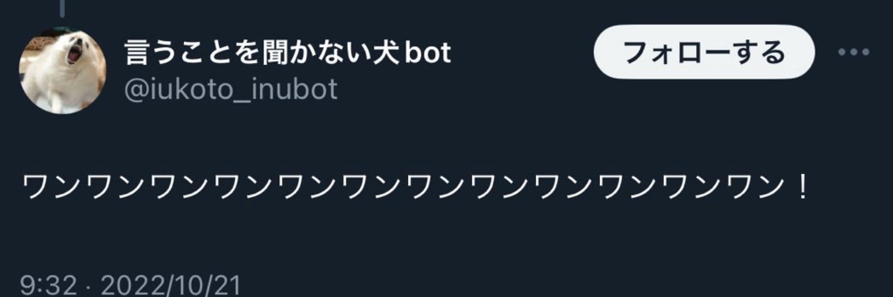 イヌ