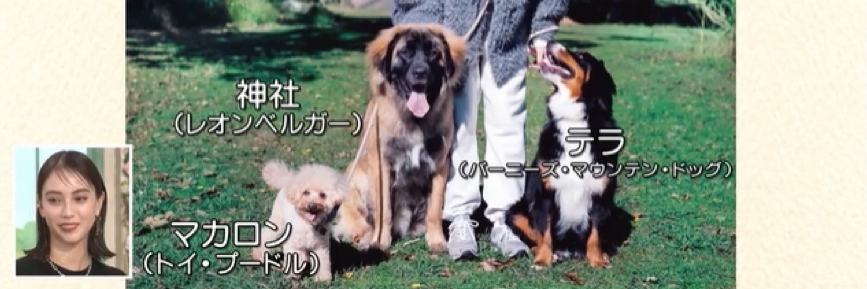 つちけんさんさん