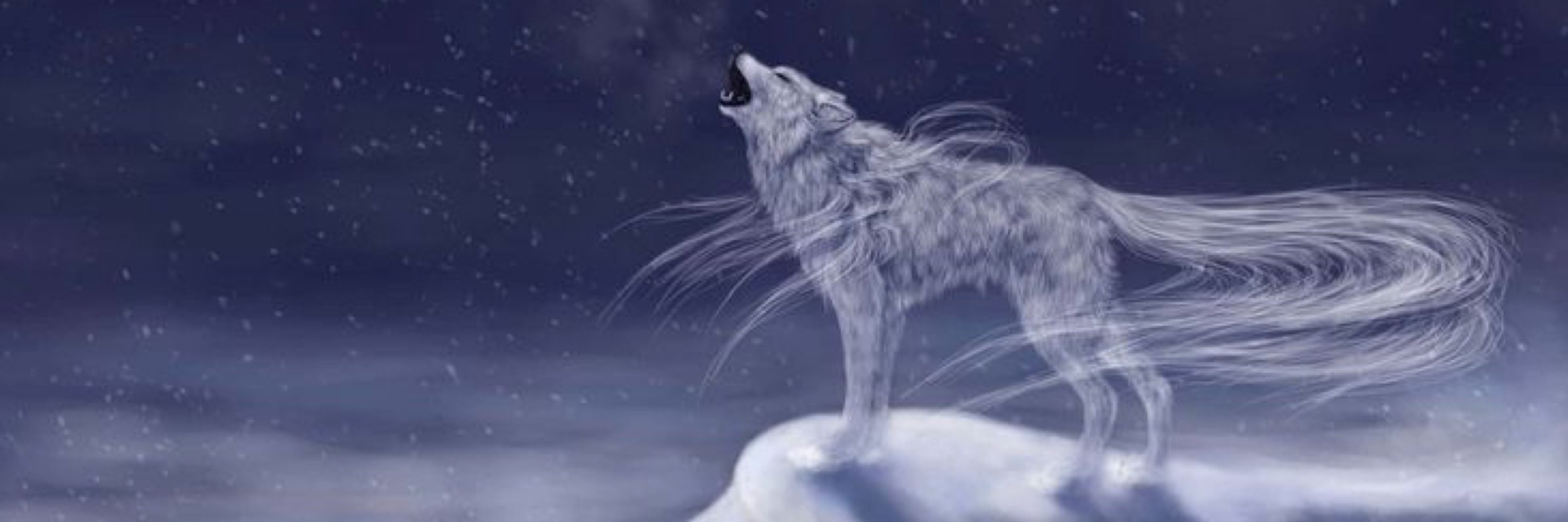 The Real Alpha