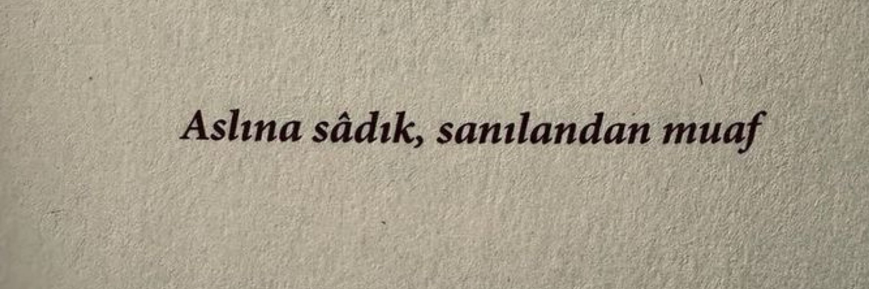 Gamze Gülçin AKKAYA