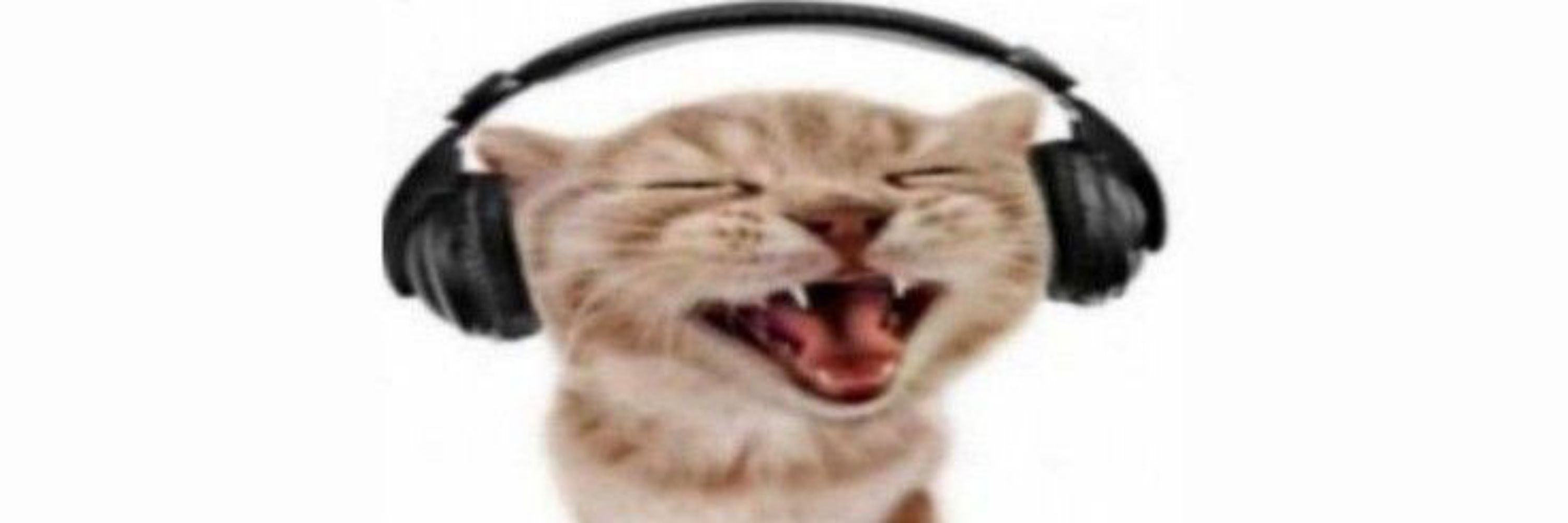 Dré