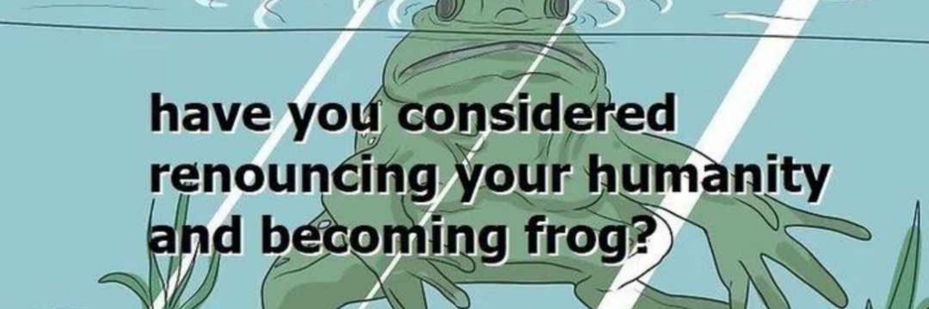 🐸 frobster