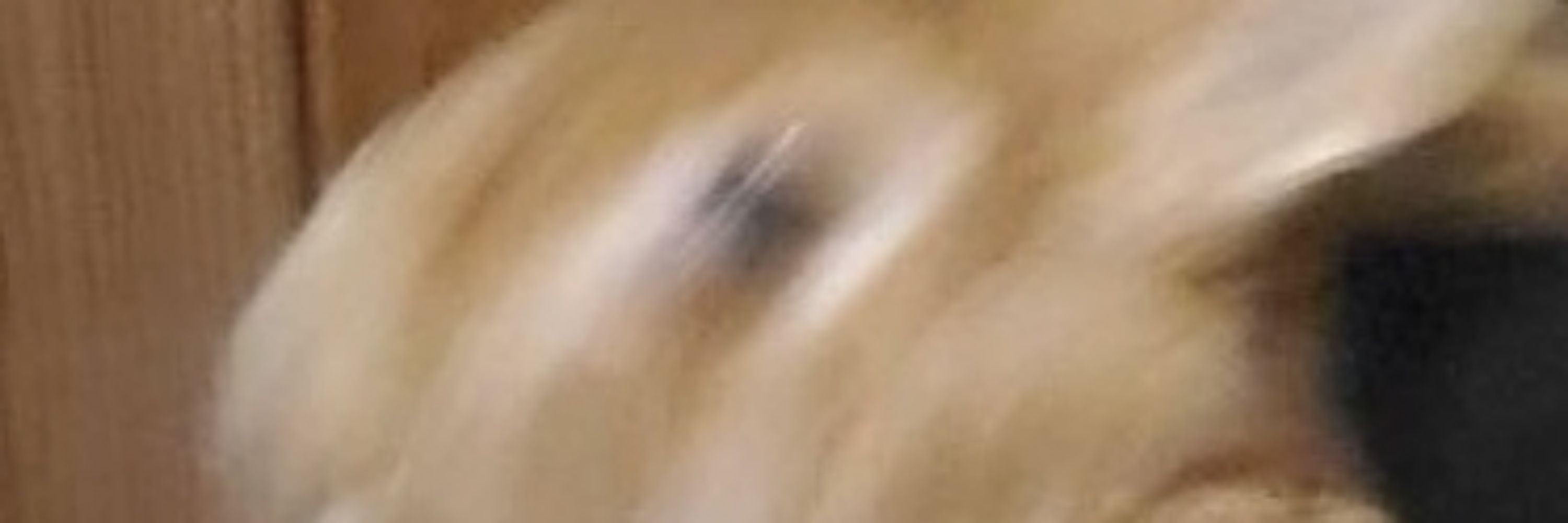 リナコイ