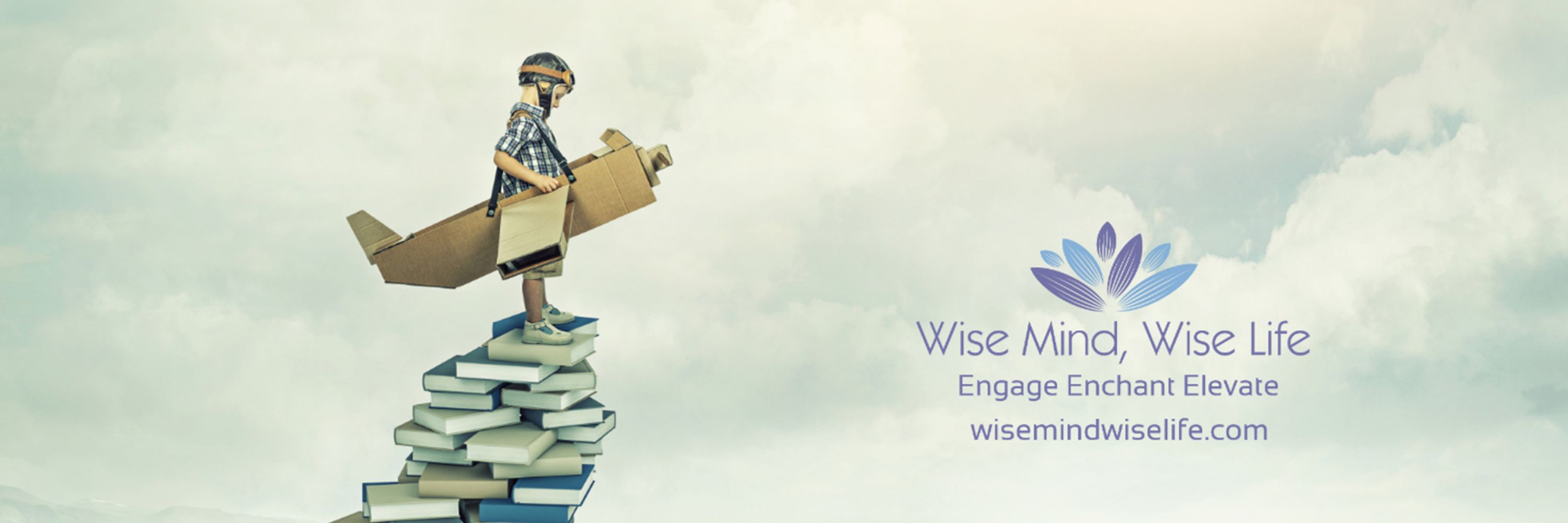 Wise Mind, Wise Life - Scott Spradlin