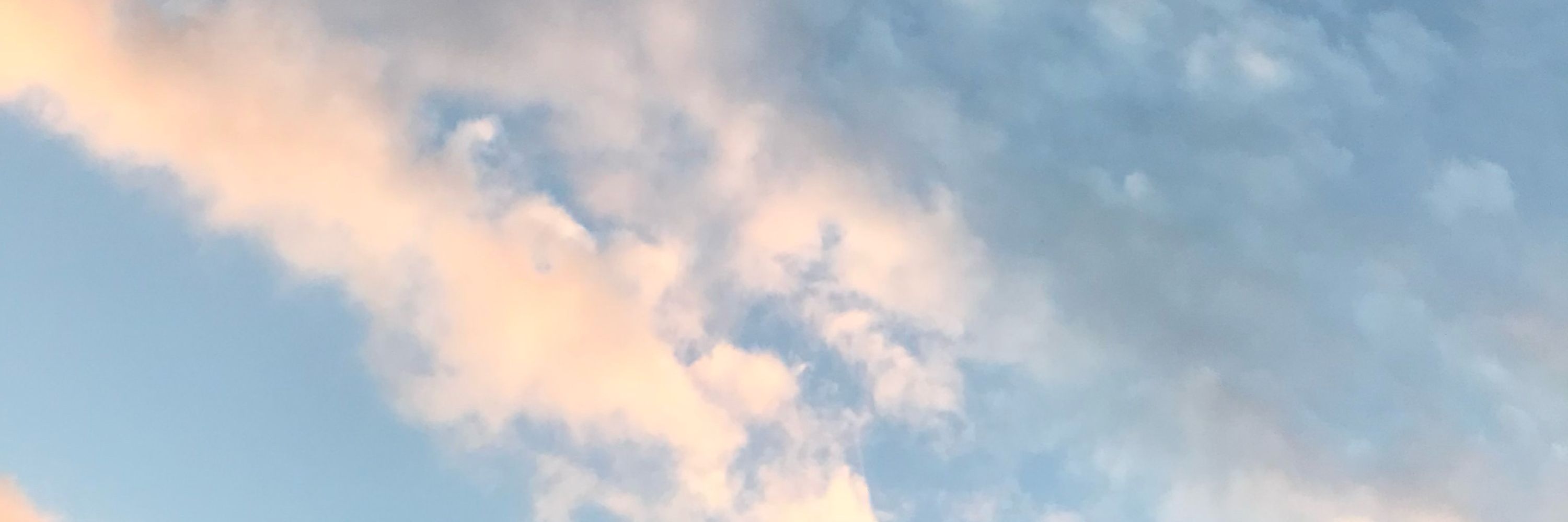 B.