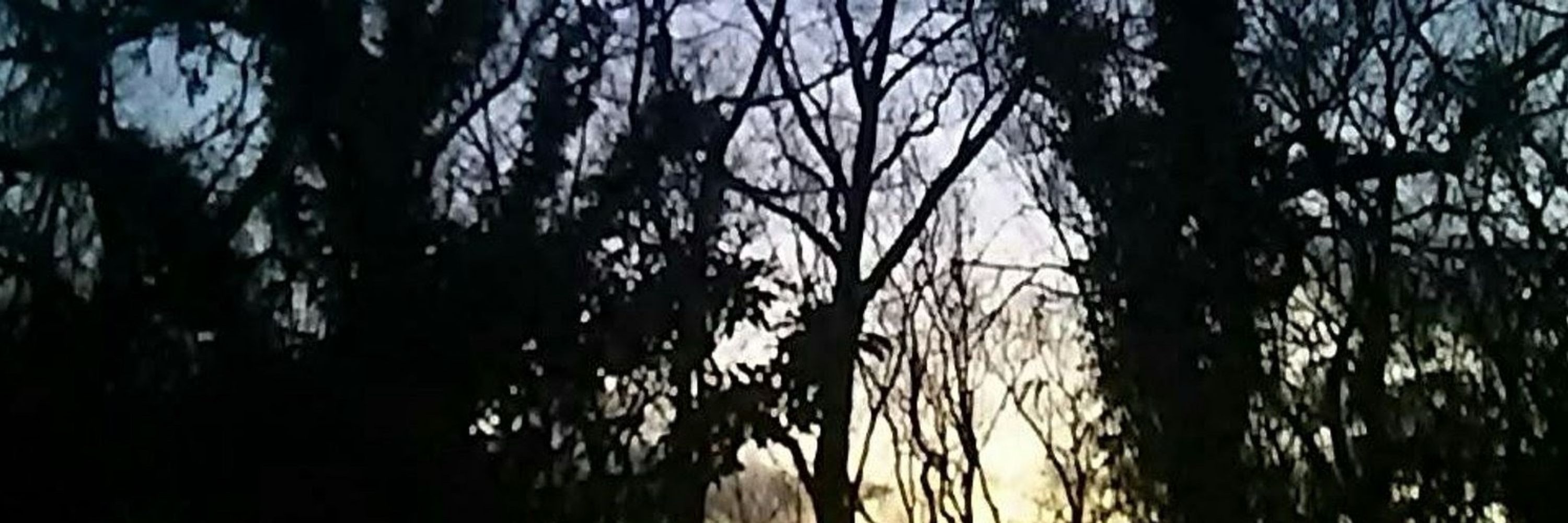 霜夜 暁 ☪︎