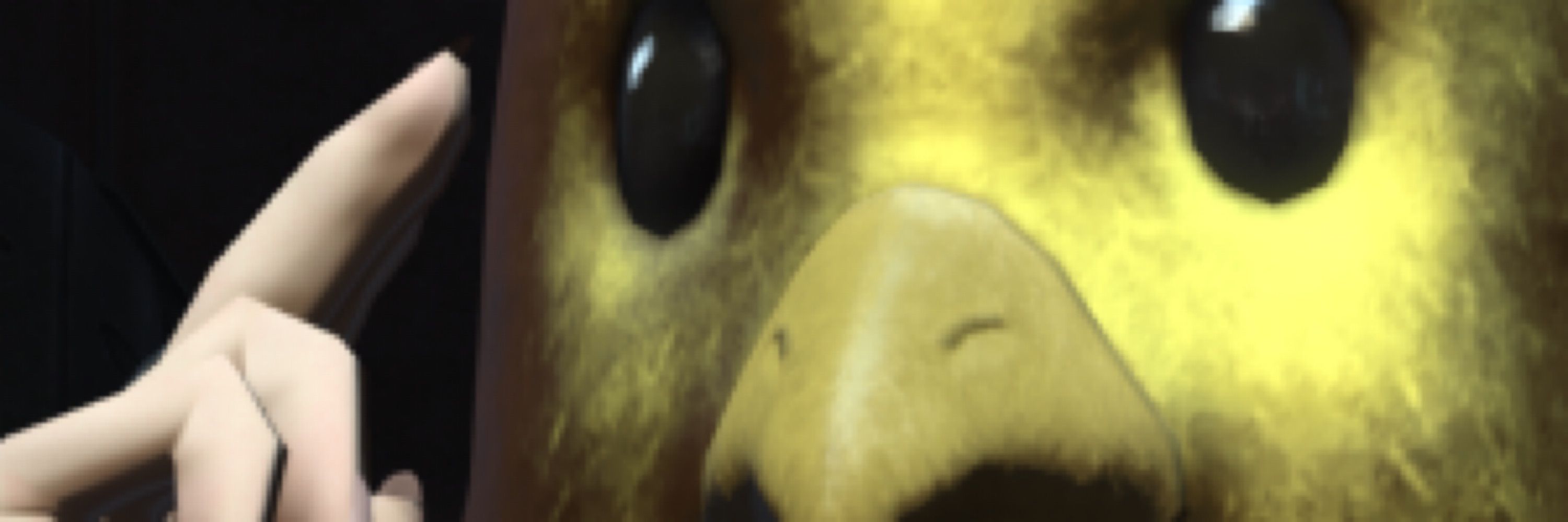 スネゲ