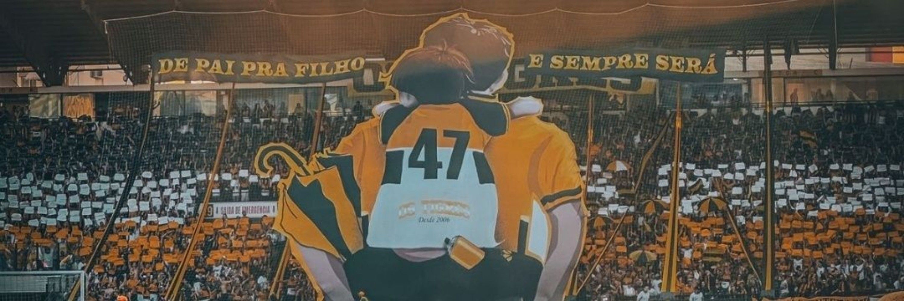 Carvoeiro Aranha 🐯🕸️