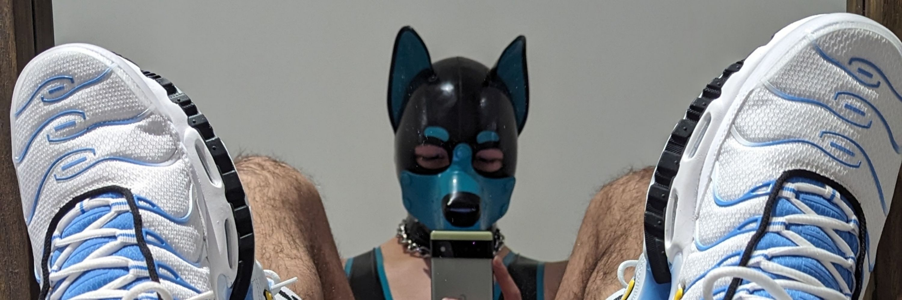 Pup Codes