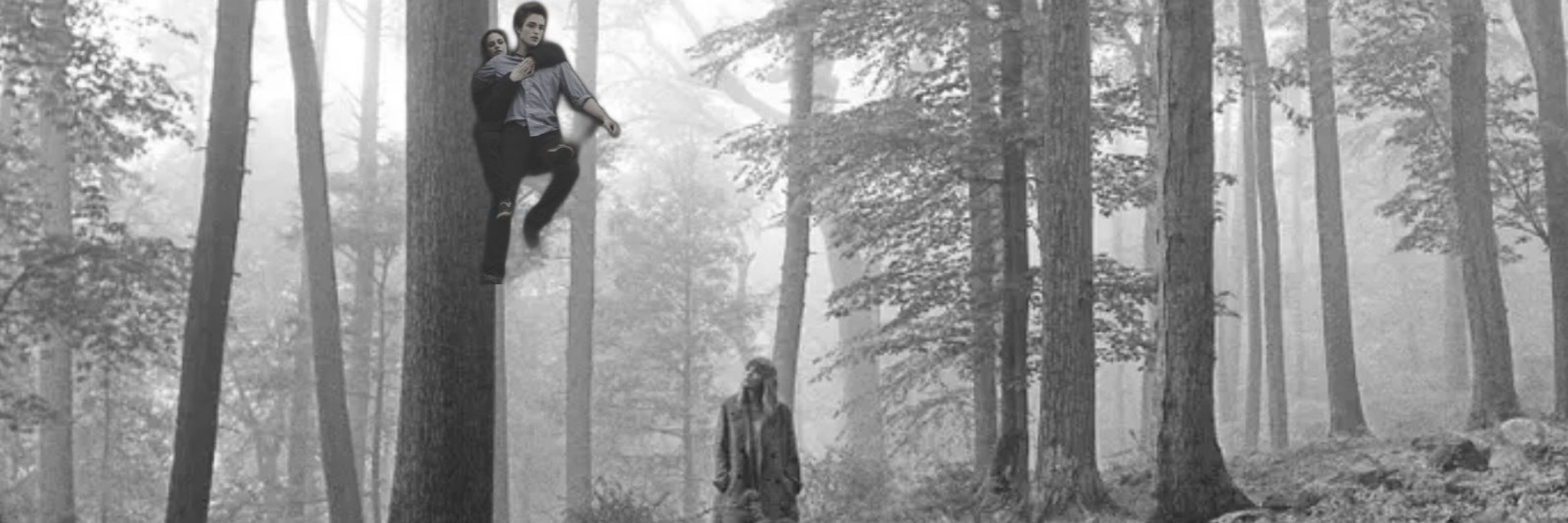 Twilight&Taylor