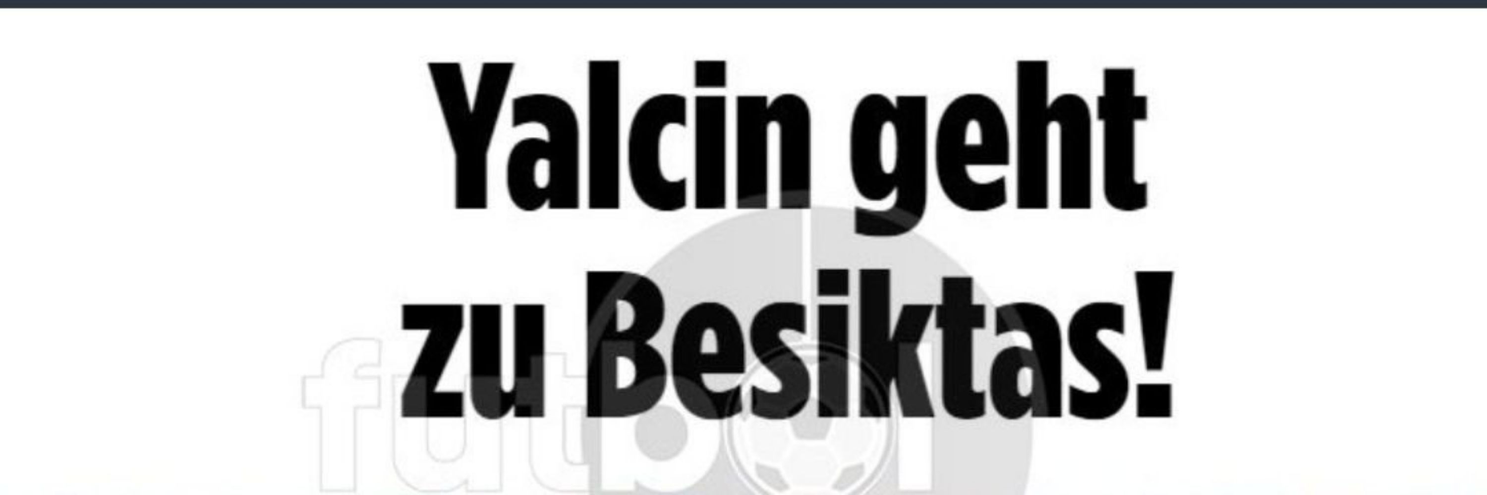 Yalcin 