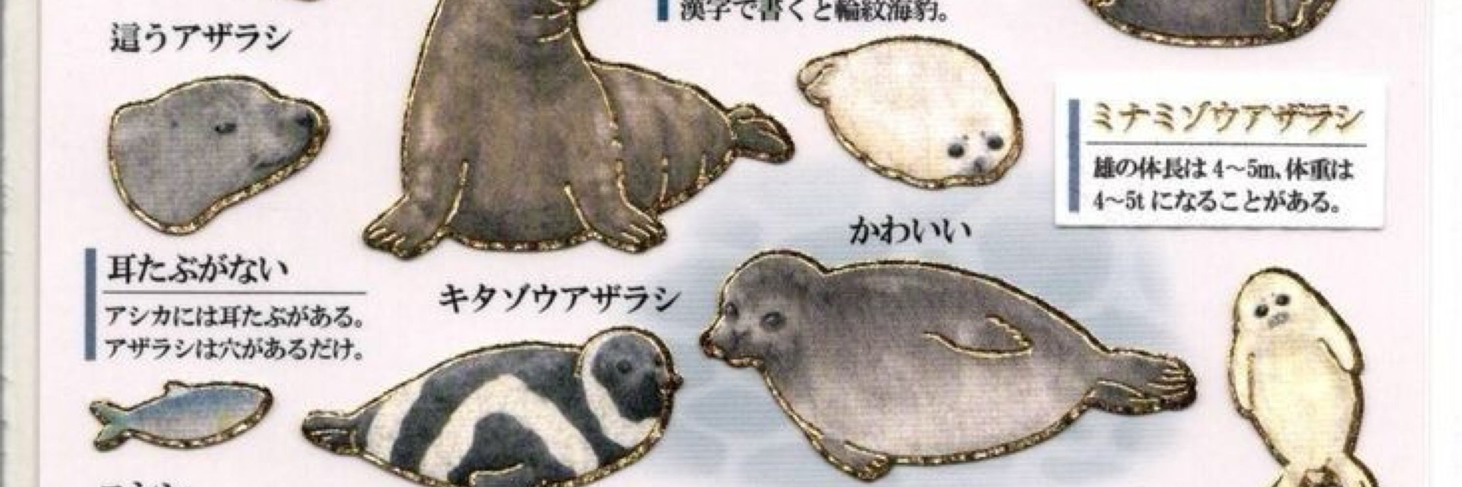 Mars 🦭