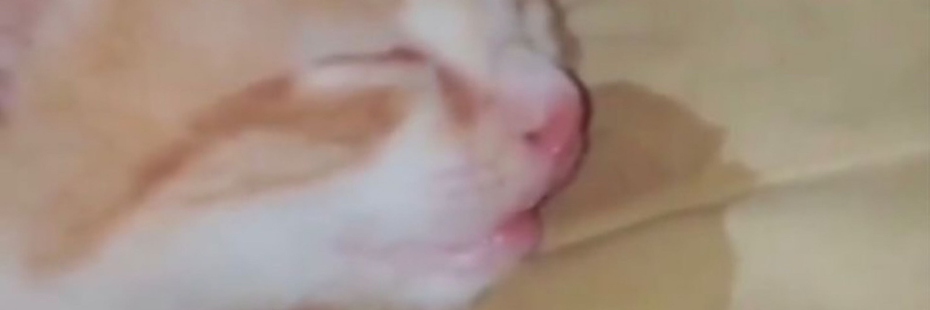 kt