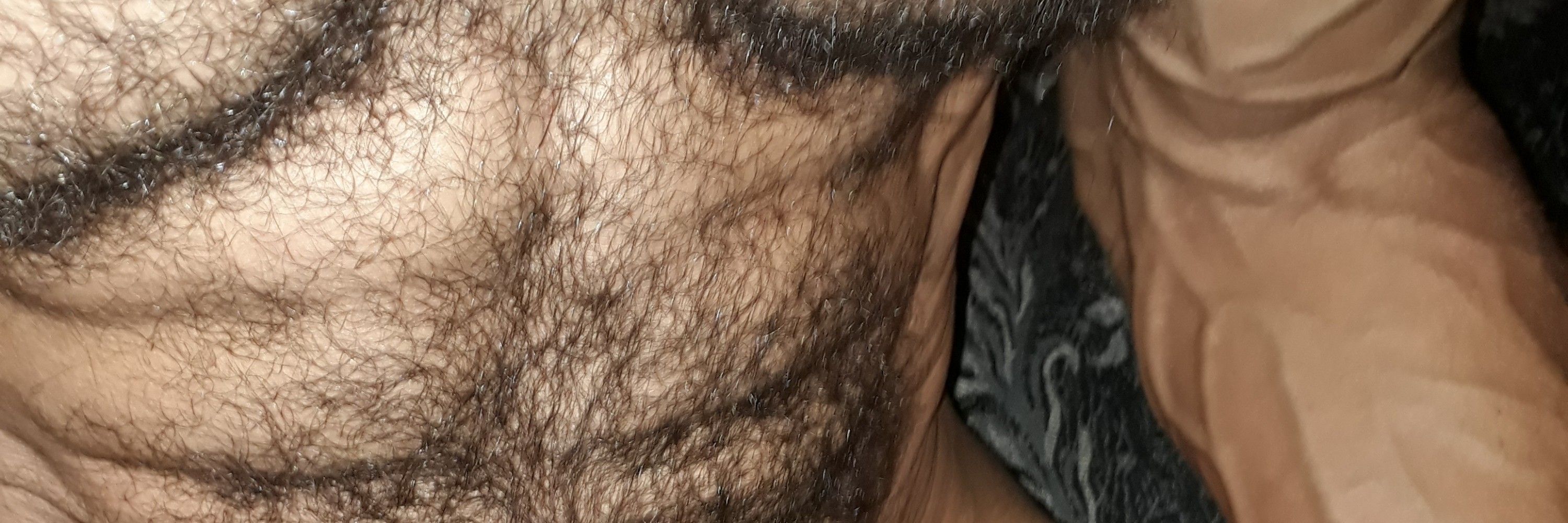 Nogueira