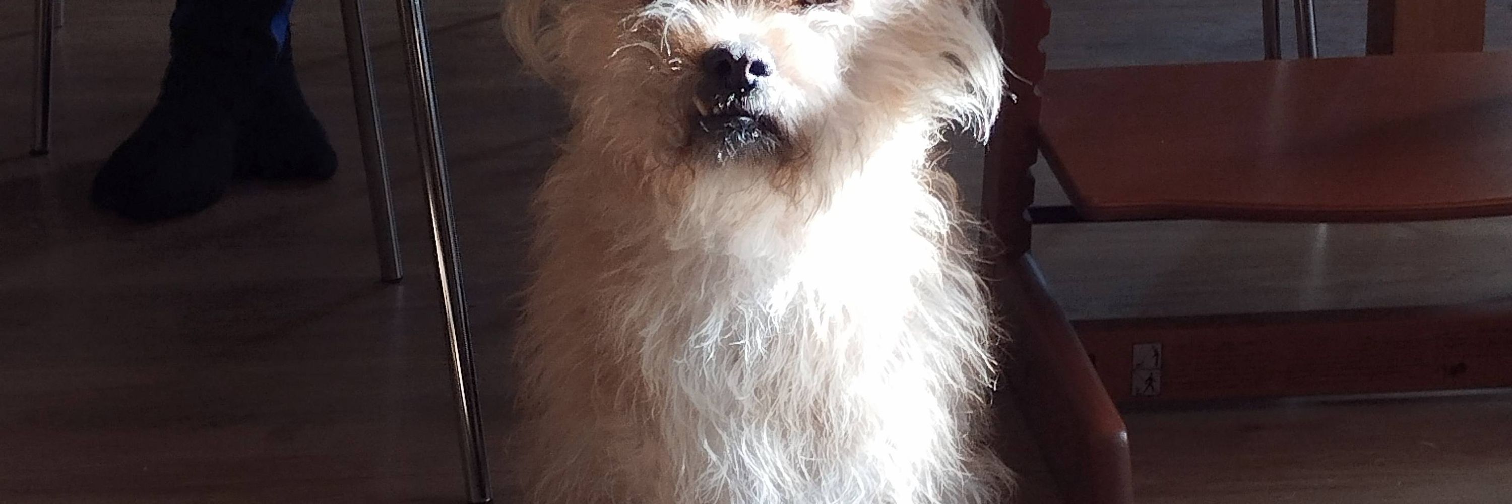 Ben