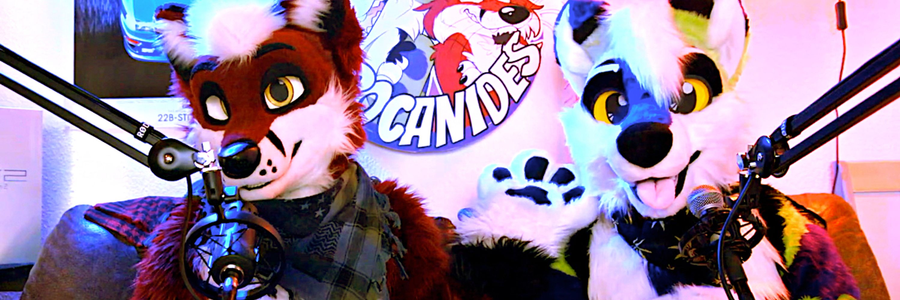 420 CANIDES 🔥 Twitch Fursuit Gaming
