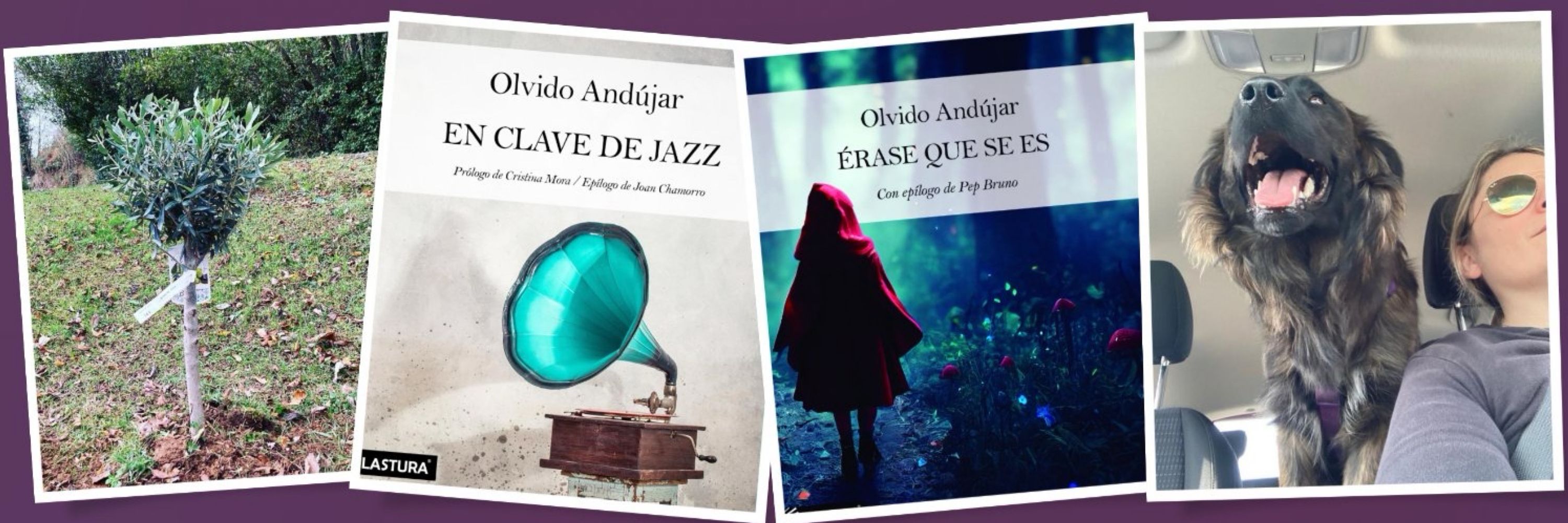 Olvido Andújar