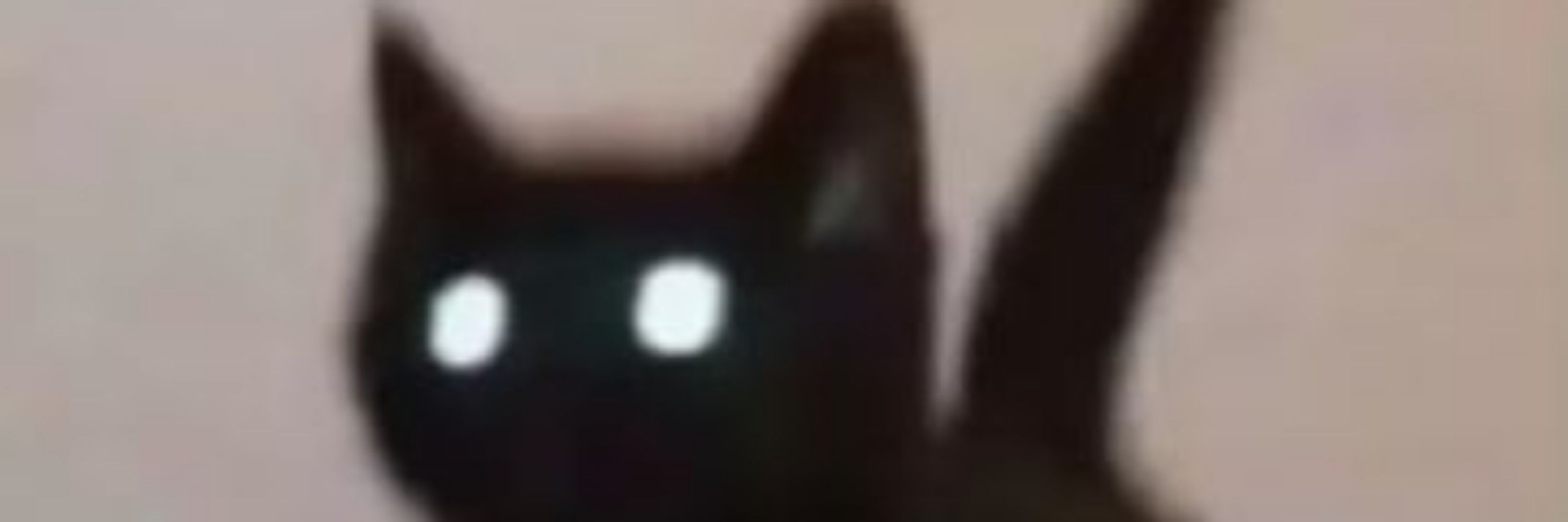 Xicanomakii