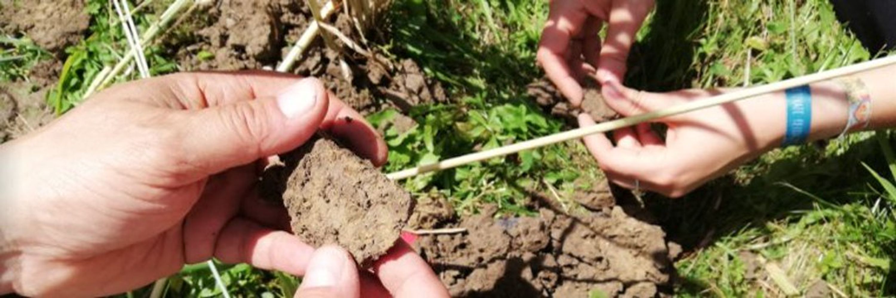 Soil Science Cluster WUR