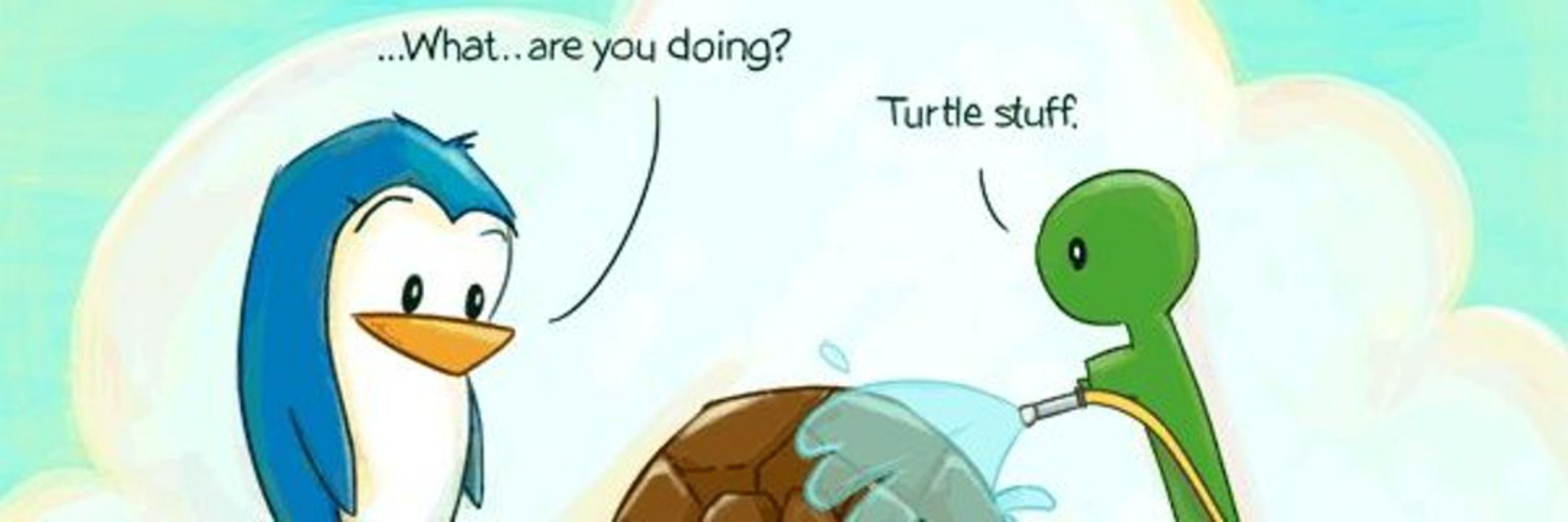 TurtleTot2