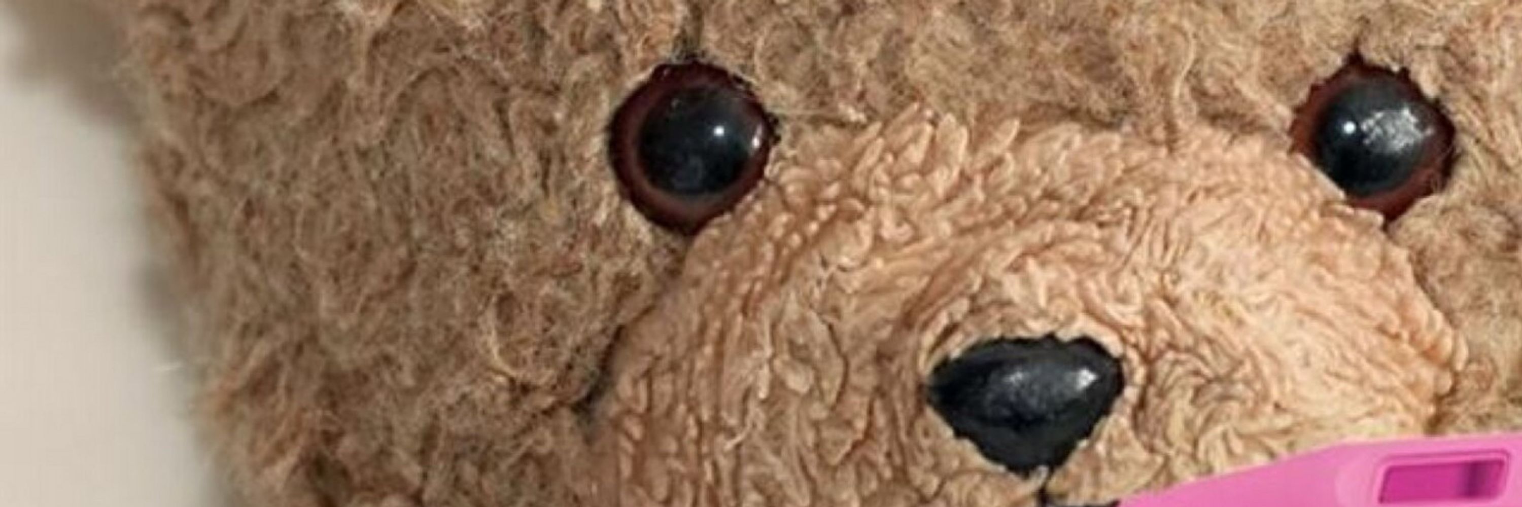Docbulle