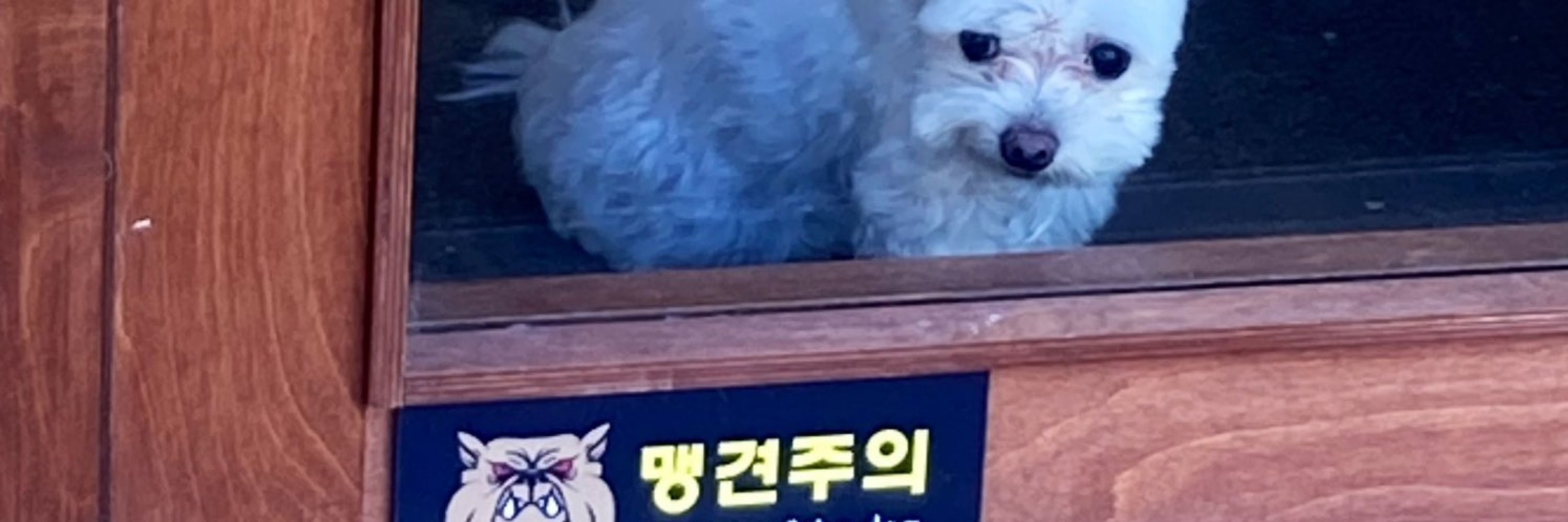 우레