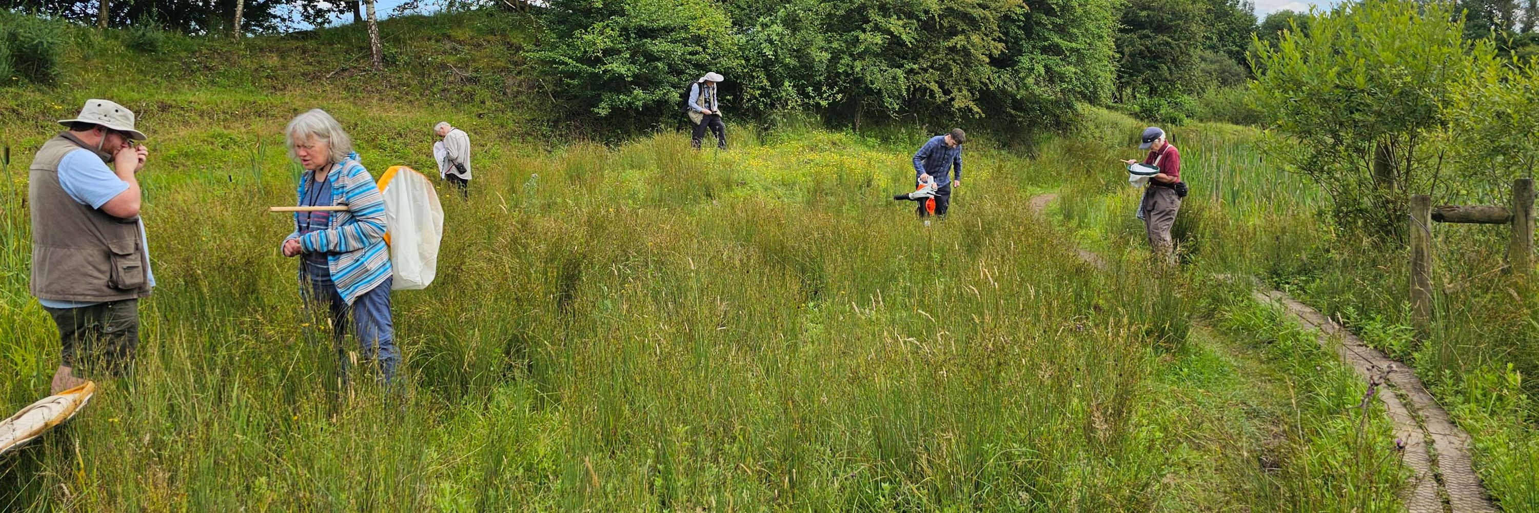 Tanyptera Project
