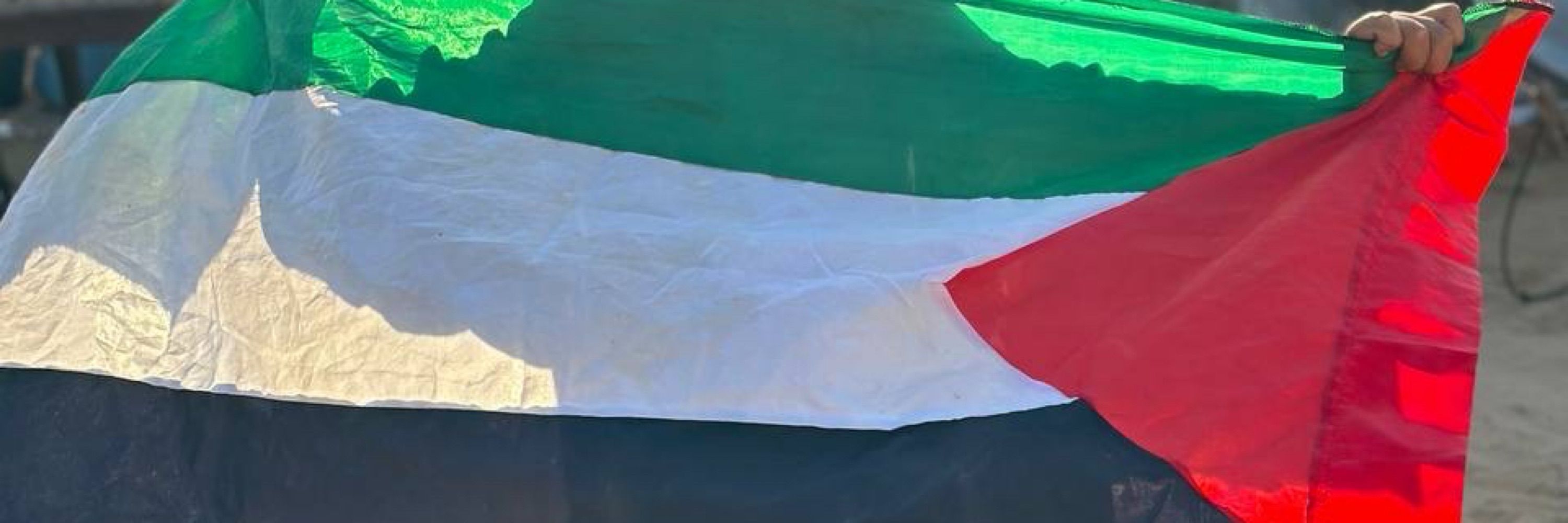 Ahmed M Aburaida
