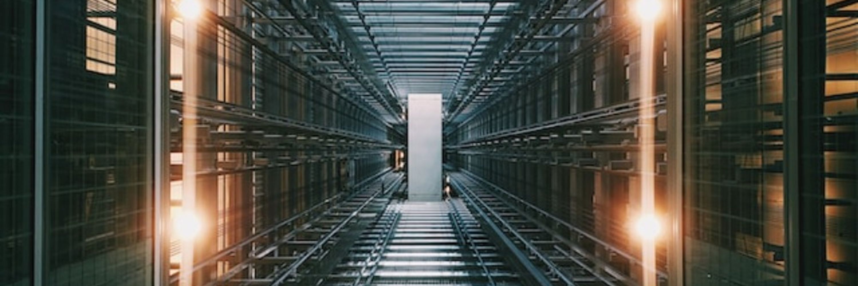 CDO (Chief Data Officer)