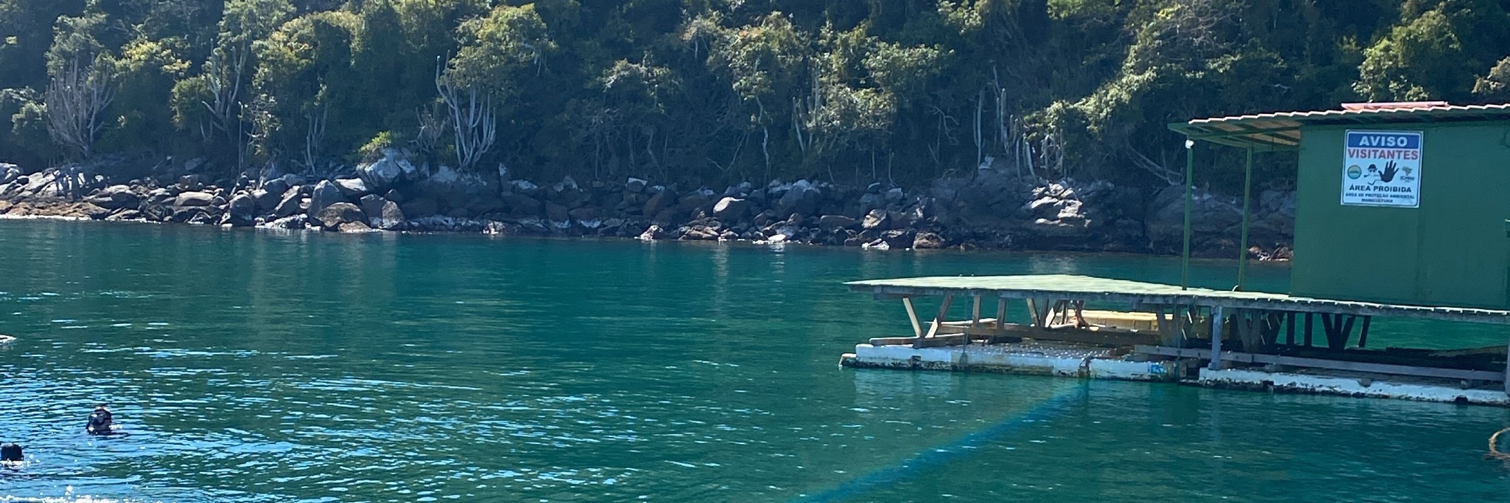 naju 