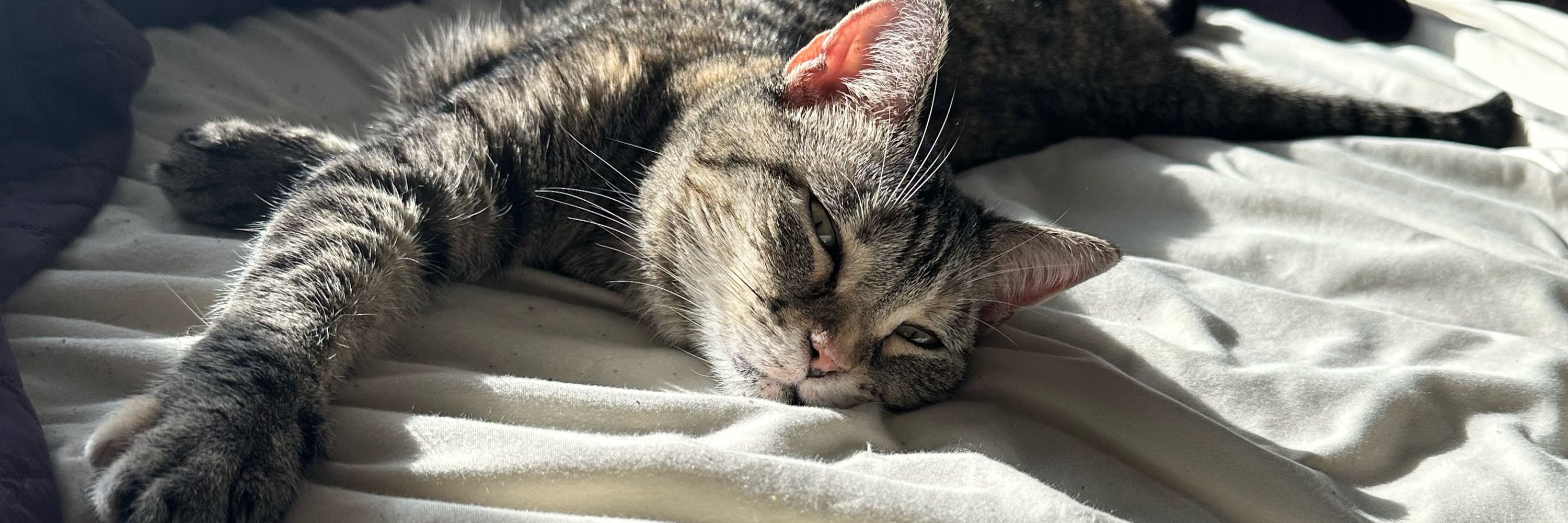 mel
