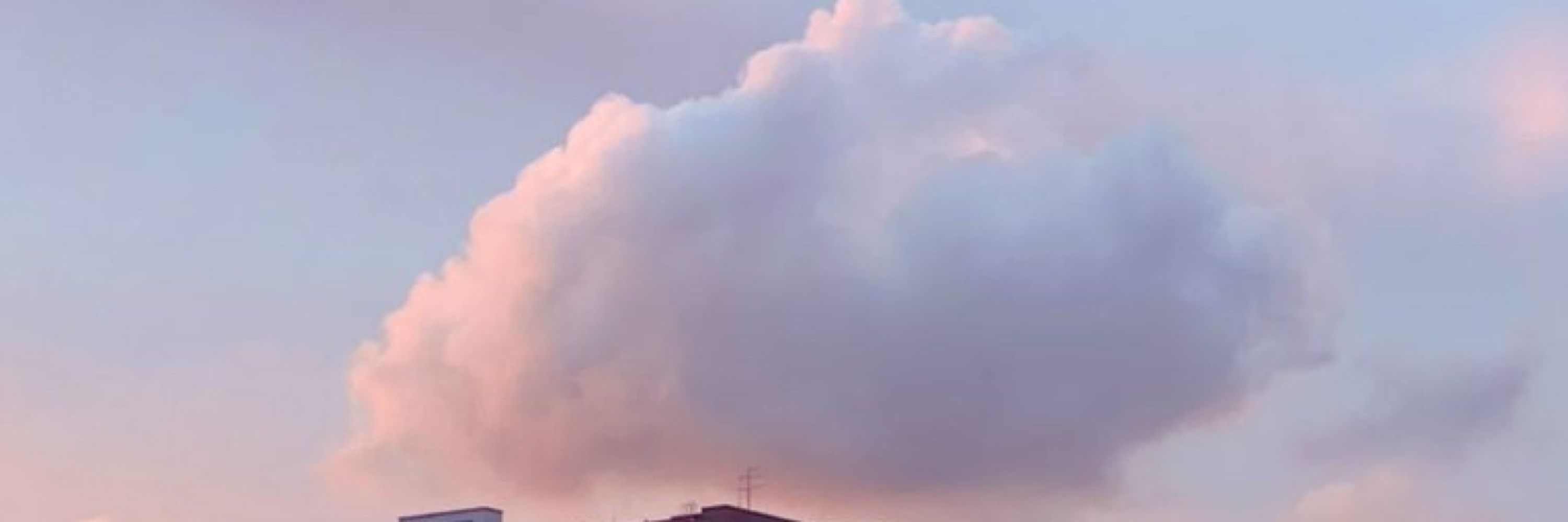도도