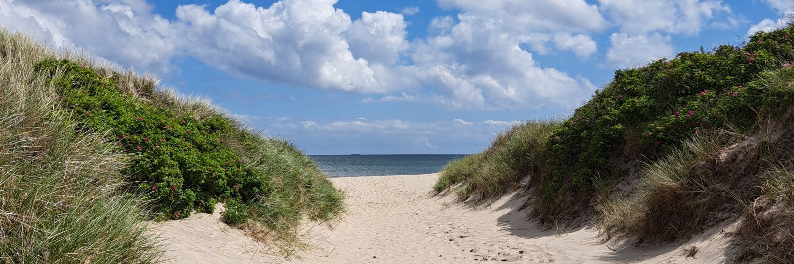 Esbjörn Wettermark