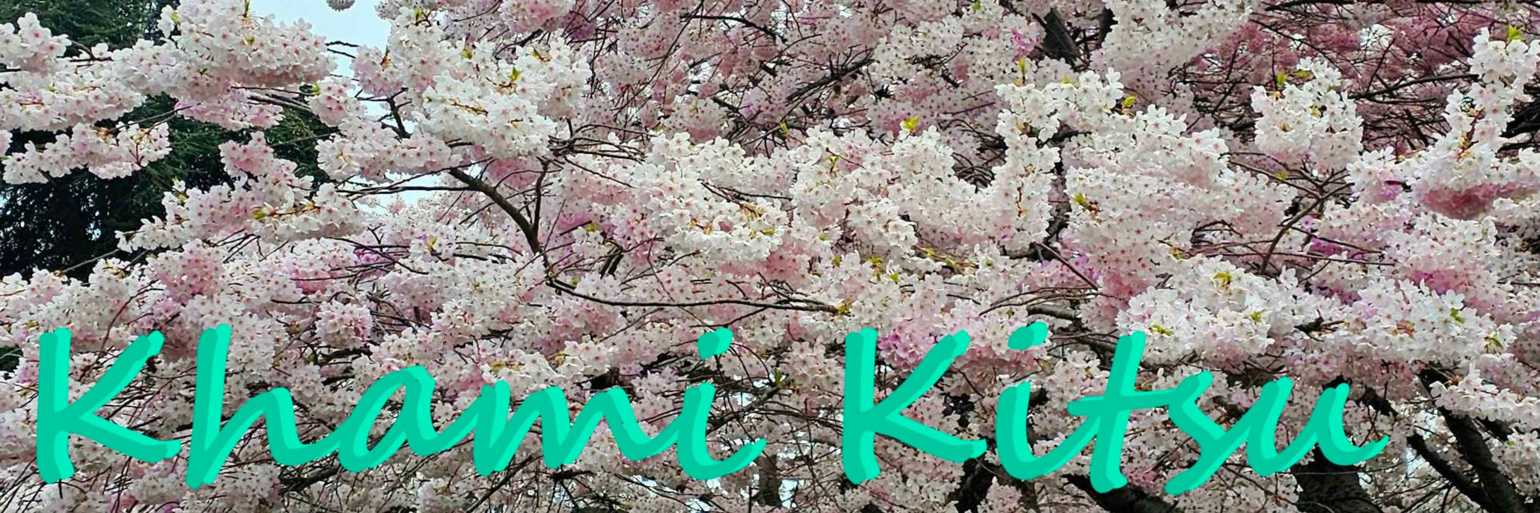Khami Kitsu