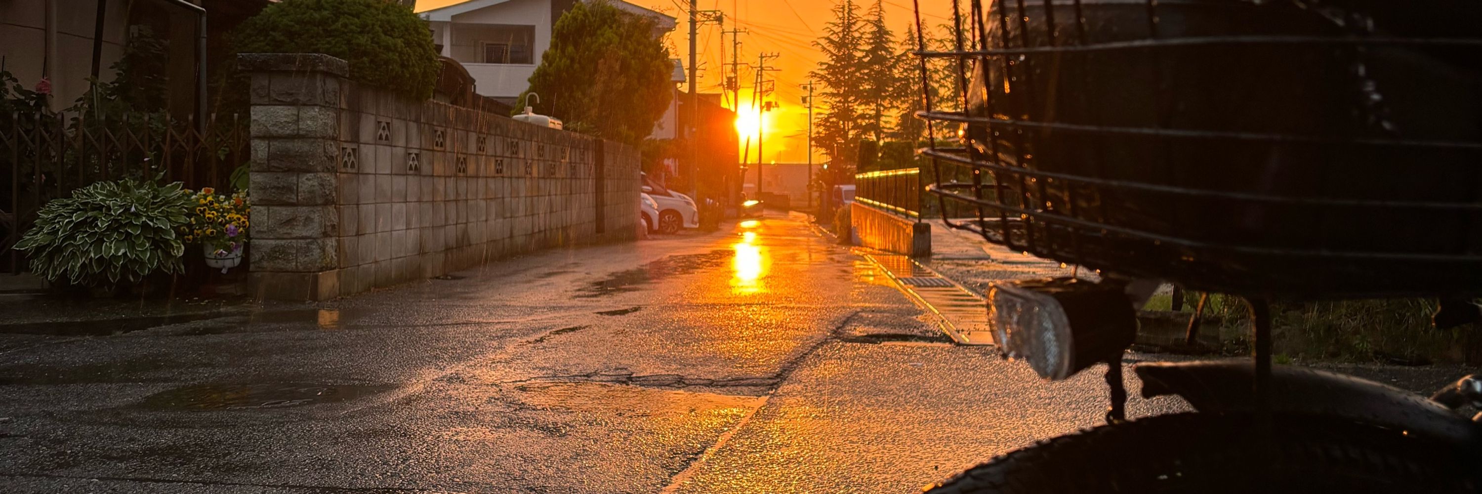 桃缶