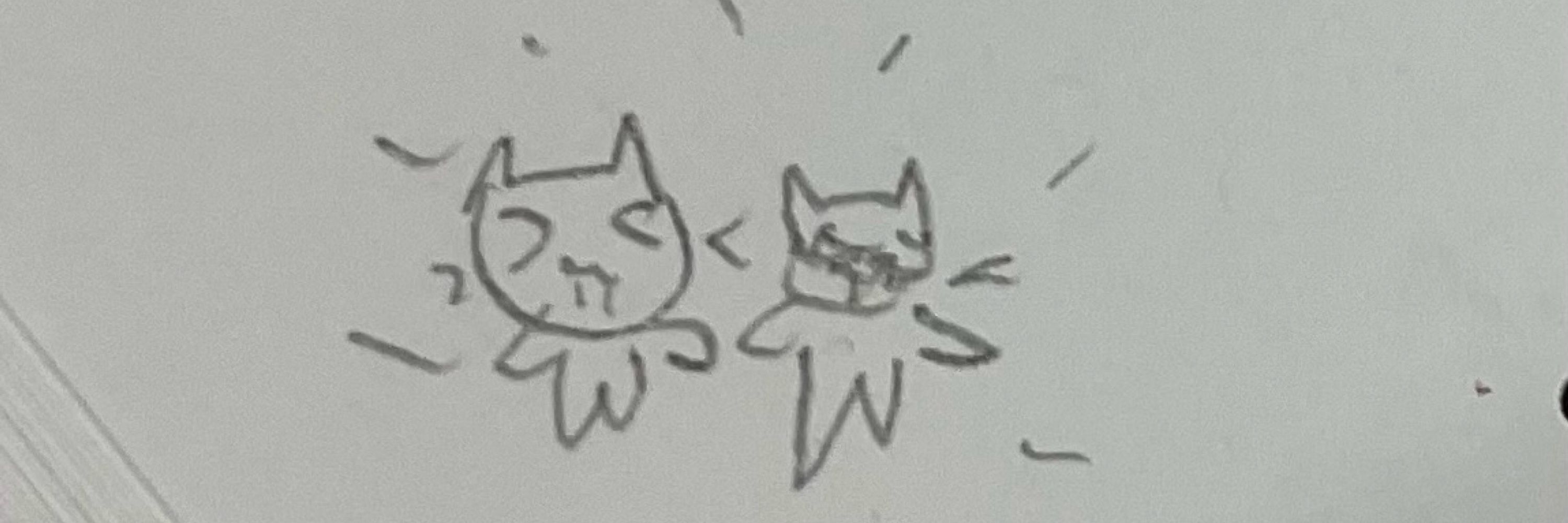 meowlyboks