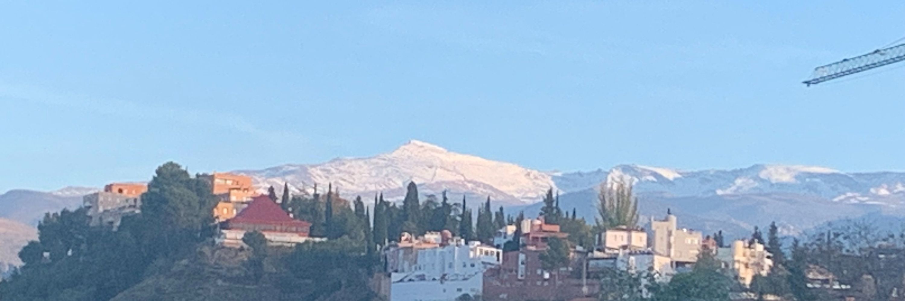 Mariángeles Lamolda