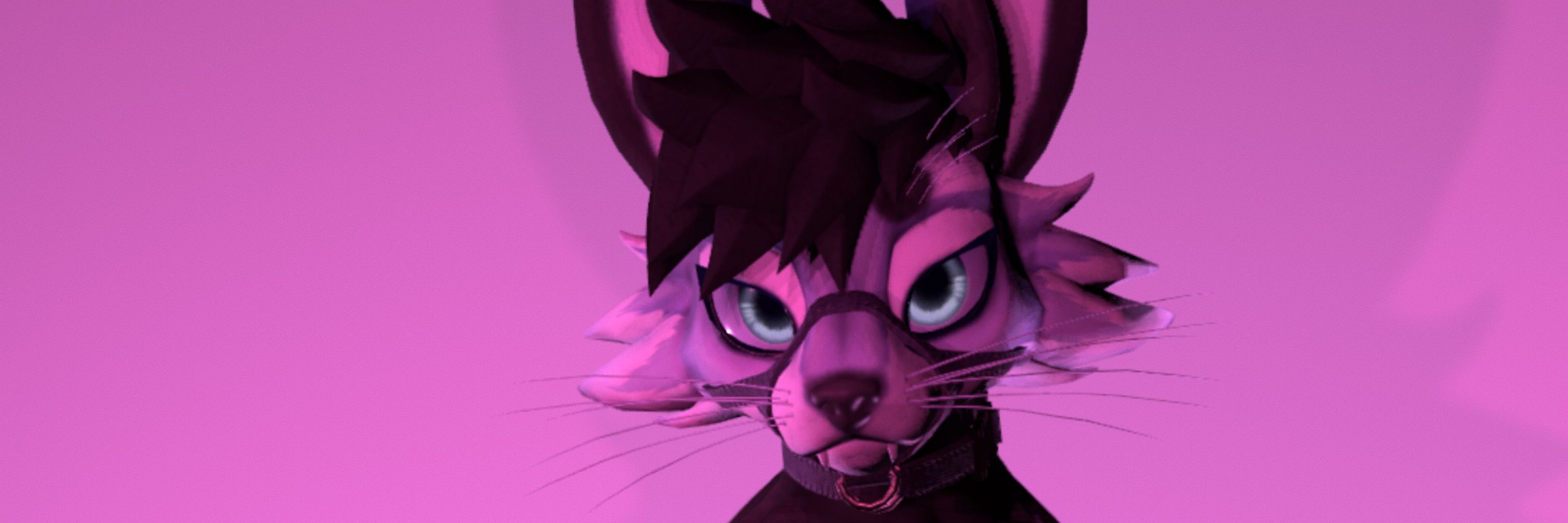 Vulpes