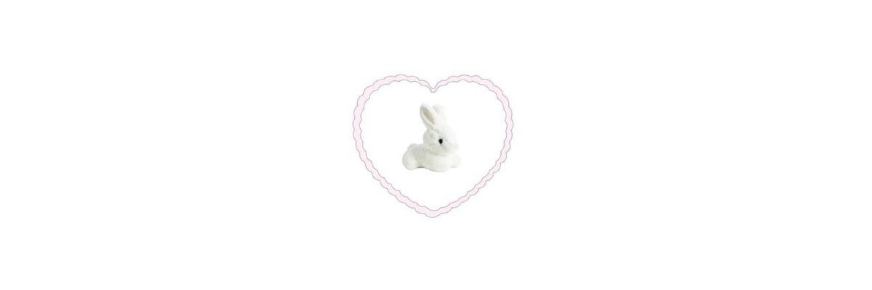 ˚ʚ♡ɞ˚