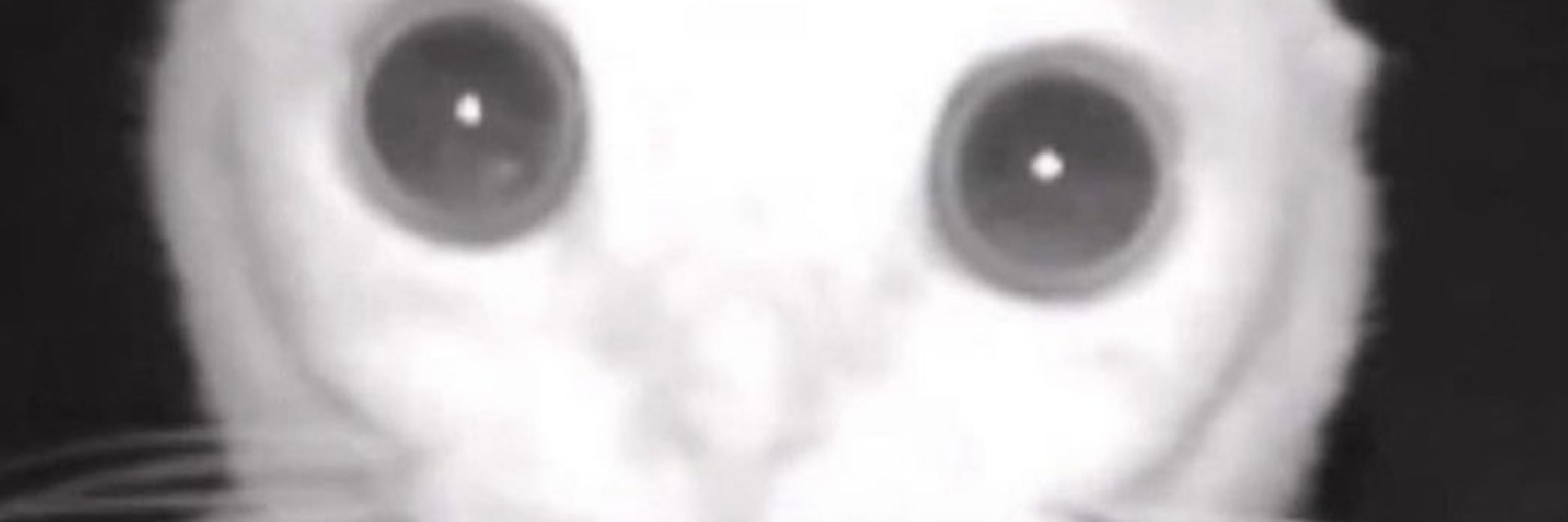 PepsiCum69