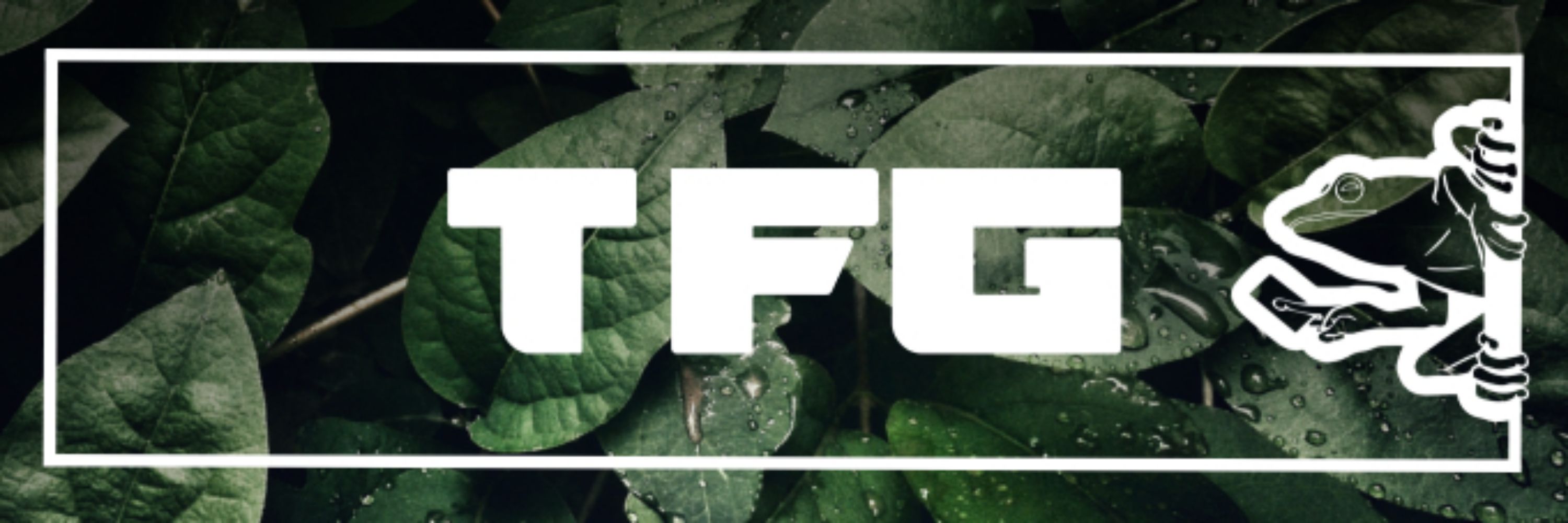 Tree Frog Grading