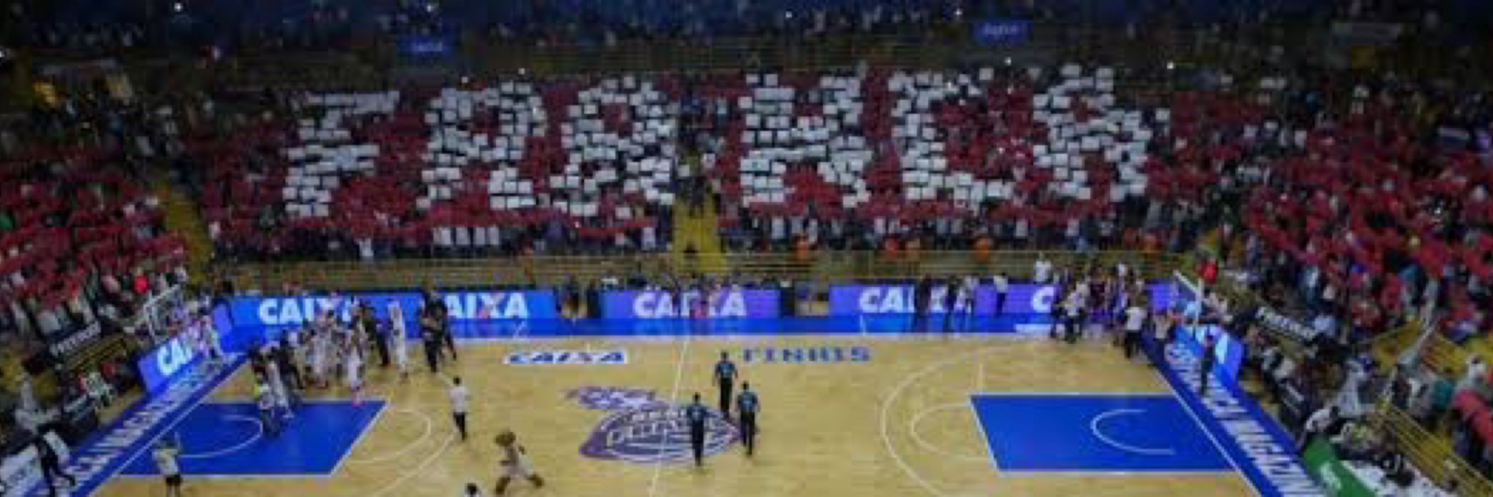mavi 